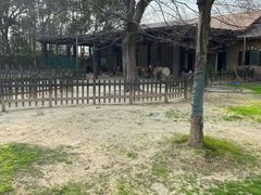 -南昌动物园