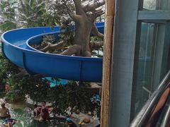 -龙脉温泉室内游泳馆