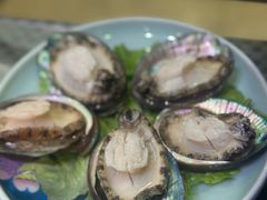 鲜活小鲍鱼-金龙·打边炉(武进路店)