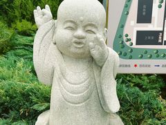 -天津大悲禅院