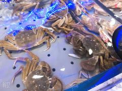 -澜悦港海鲜体验主题餐厅