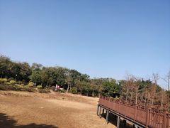 -立新湖公园