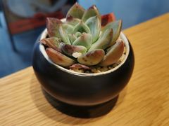 -Peet's Coffee皮爷咖啡(豫园店)