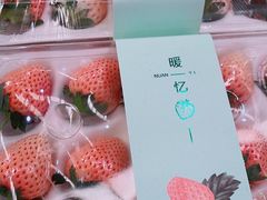 粉草莓-上海龙吴水胜海发市场