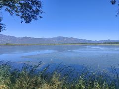 -野鸭湖国家湿地公园