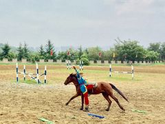 -威海华夏城景区