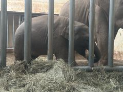 -石家庄市动物园