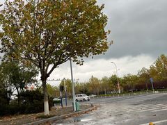 -青岛西海岸新区博苑托育·早教·幼儿园