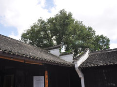 -宁波茶文化博物院