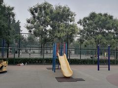 -东升文体公园