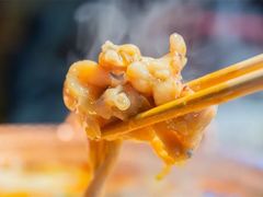 -沪小二炭火蛙锅(淮海中路美食不夜城店)