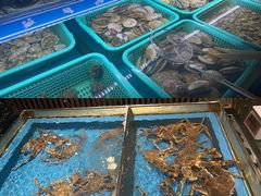 水产区-蟹将军·松叶蟹和牛日料放题自助(K11店)