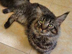 -沐沐家宠物(成寿寺店)