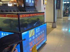 -卢大鲜鱼头捞饭(美利广场店)