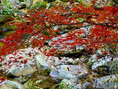 -丹东天桥沟景区