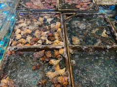 -映像威海·海鲜味道(市区店)