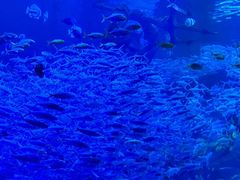 -波塞冬旅游度假区