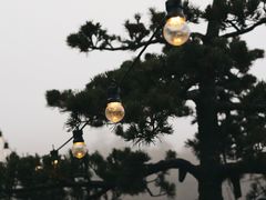 -四明山国家森林公园