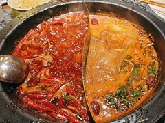 -蜀大侠火锅(总府路店)