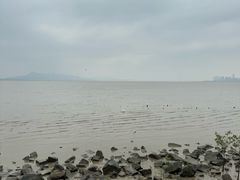 -深圳湾公园(南山区)
