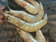 -呷哺呷哺(新世界百货望京店)