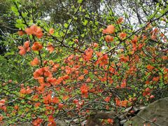 -昆山城市生态森林公园