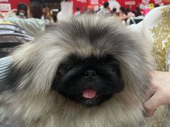 -仲盛世界商城