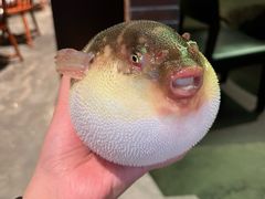 -永安鱼庄·镇江菜(东吴路店)