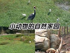 -普洱太阳河森林公园
