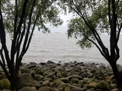 -上海吴淞炮台湾国家湿地公园