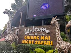 -清迈夜间动物园