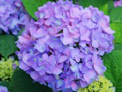 -名花谷生态庄园