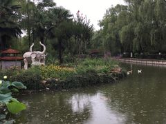 -宝鸡植物园