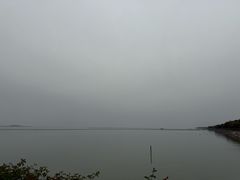 -贡湖湾湿地公园