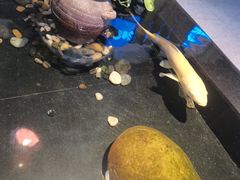-优食坊·蒸汽海鲜(康盛路店)
