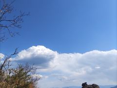-朱雀国家森林公园
