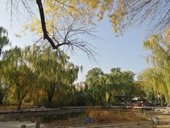 -玲珑塔公园