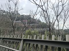 -福道