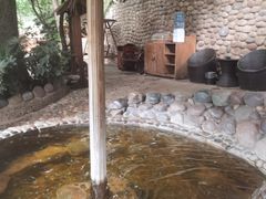 -云涛森林温泉