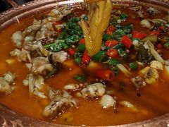 -沪小二炭火蛙锅(淮海中路美食不夜城店)