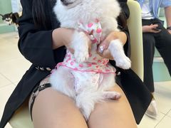 -怪兽屋·羊驼·猫咖·狗咖(俊华广场店)