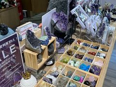 -陕西自然博物馆