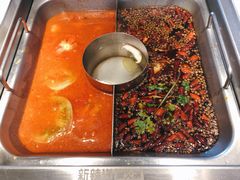 鱼火锅-新辣道鱼火锅(西直门店)