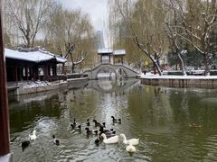 -团结湖公园
