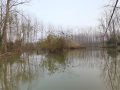 -合肥滨湖国家森林公园