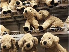 -宜家家居(哈尔滨商场店)