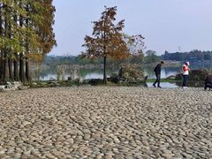 -东湖落雁景区