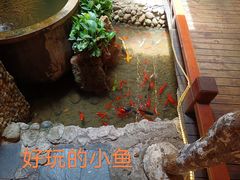 -三道苗苗鱼·美蛙黄辣丁(八里店)