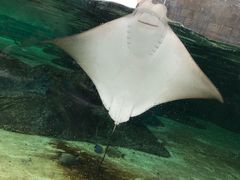 -新加坡水上探险乐园