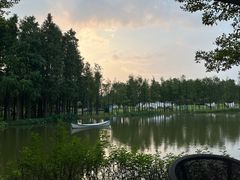 -森波拉奇妙世界